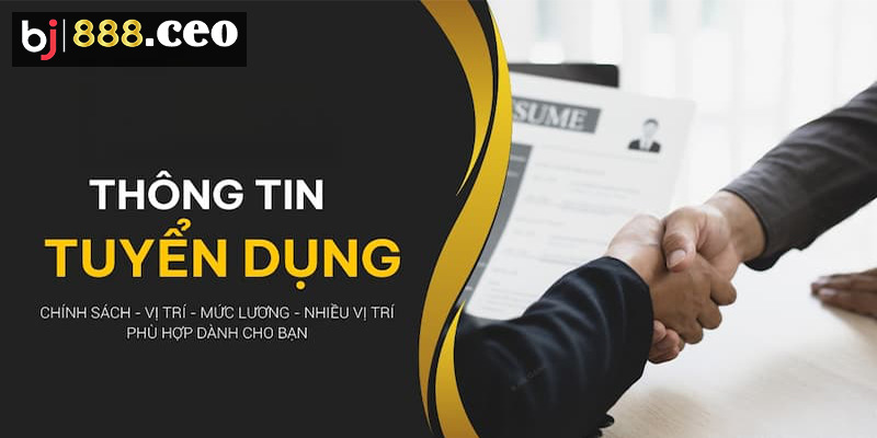 Môi trường làm việc năng động, cởi mở khi tham gia tuyển dụng BJ88